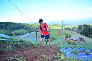 BIB: 
                            <button type="button" onclick="openModal(13383405)" class="btn btn-primary btn-sm float-right btn-popup" data-toggle="modal" data-target=".modal-high-quality">
                        <i class="fas fa-shopping-cart"></i> Add to Cart
                    </button>
                                            <button type="button" onclick="isThisMe(13383405, true)" class="btn btn-success btn-sm float-right btn-popup btn-isme hidden" data-toggle="tooltip" data-placement="bottom" title="นี่คือรูปของคุณใช่ไหม คลิกที่นี่เพื่อเอาเข้าอัลบั้ม">
                        <i class="fas fa-plus"></i> Add to album
                    </button>
                    <button type="button" onclick="isThisMe(13383405, false)" class="btn btn-warning btn-sm float-right btn-popup btn-isnotme hidden">
                        <i class="fas fa-ban"></i> Remove from album
                    </button>